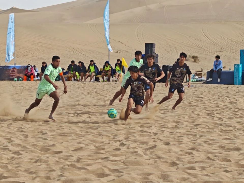 QdIAA, borde, 珠海沙浪 QdIAA, borde, 珠海沙浪