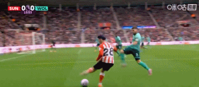 wg, gif, ed wg, gif, ed