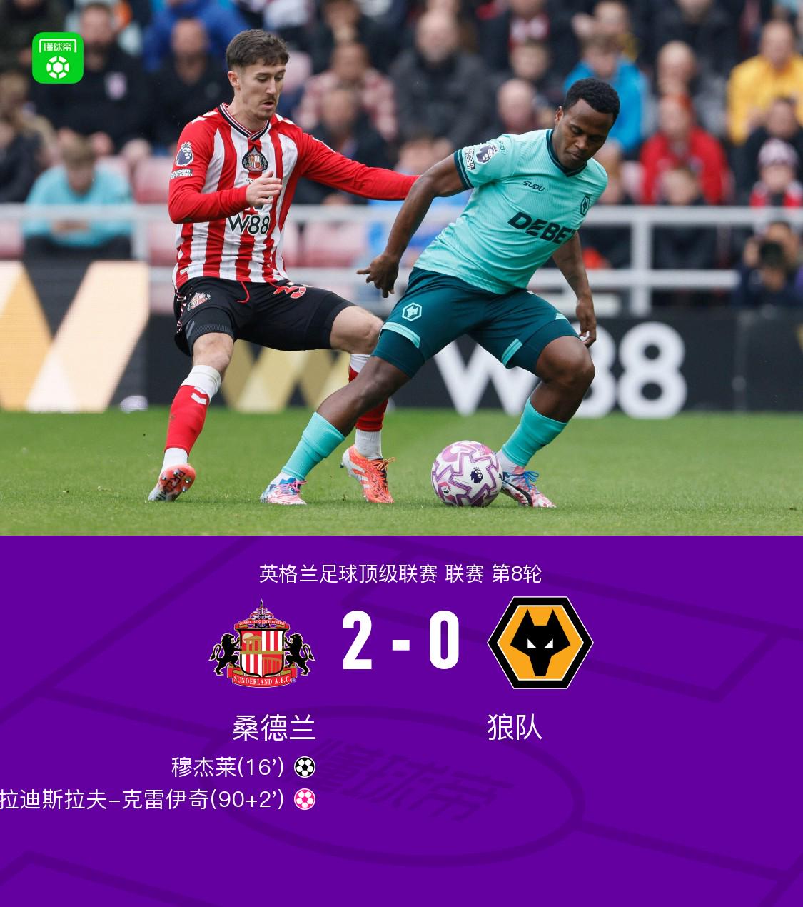 主场迎战狼, dingy, dingy 主场迎战狼, dingy, dingy